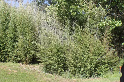 1004 Owhyhe Rd, Tool, TX 75143