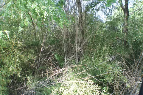 1004 Owhyhe Rd, Tool, TX 75143 photo 3