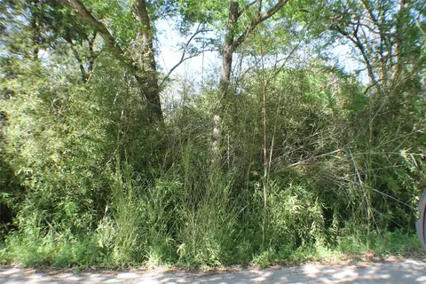 1004 Owhyhe Rd, Tool, TX 75143 photo 4