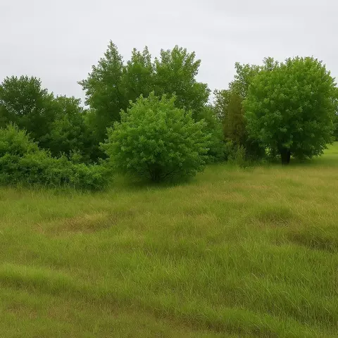 382 Private Road 4437, Rhome, TX 76078