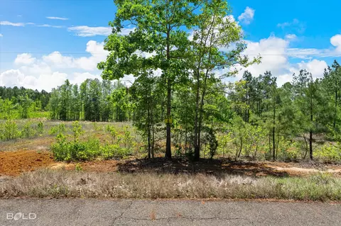 250 Martin Rd, Plain Dealing, LA 71064