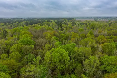 0 Us Hwy 80, Big Sandy, TX 75755