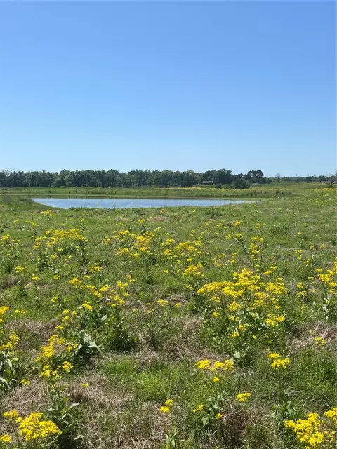 000 Cr 4343, Larue, TX 75770