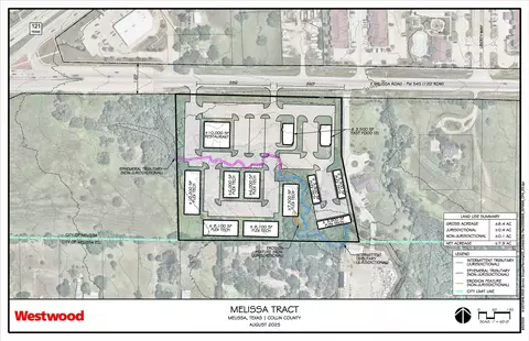 tbd E Fm 545, Melissa, TX 75454