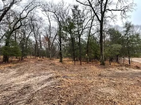 1291 Rs Cr 1150, Emory, TX 75440 photo 5