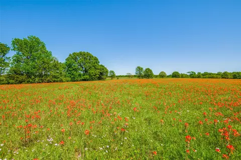lot44 Paradise Cov, Streetman, TX 75859