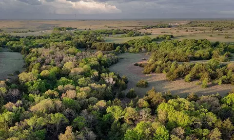 1679 Rosston, Forestburg, TX 76239