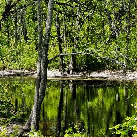 000 Cr-1204, Blue Ridge, TX 75424