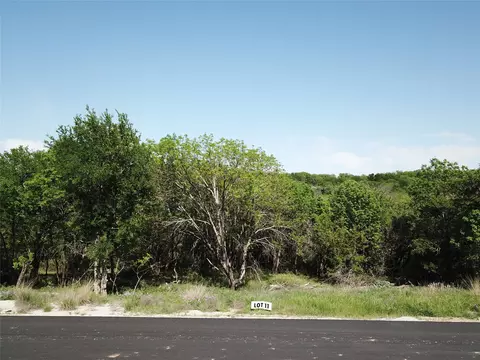 163 Hanna Oak Ct, Bridgeport, TX 76426