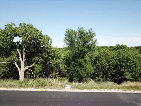 157 Hanna Oak Ct, Bridgeport, TX 76426