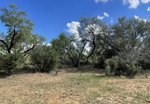 0 Fm-586, Brownwood, TX 76801