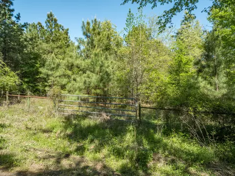 0 County Road 3414, Chandler, TX 75758