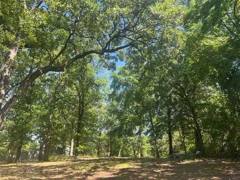 0 Maloma Ct, Tool, TX 75143 photo 2