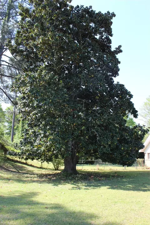 200 Berry Dr, Minden, LA 71055 photo 37
