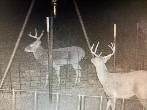 tbd 1146 Acres Cr 178, Old Glory, TX 79540