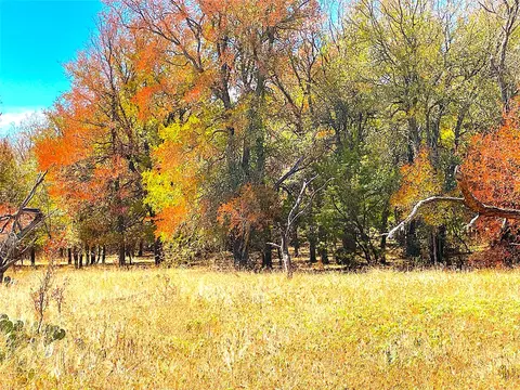 11020 281 Hwy, Perrin, TX 76486