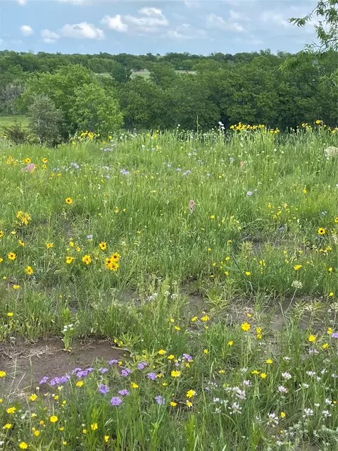 381 Heritage Crk Dr, Rhome, TX 76078