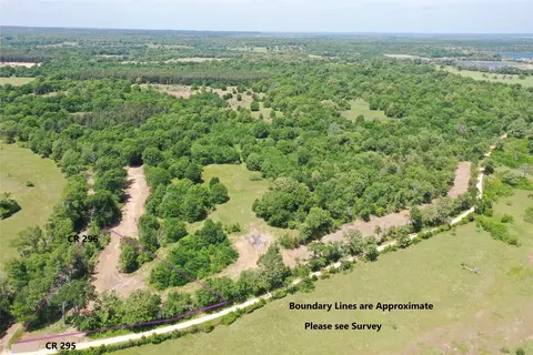 Tract 3 County Road 295, Oakwood, TX 75855