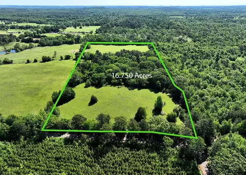 tbd Ginger Rd Tract 3-1675 Ac, Gilmer, TX 75644
