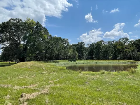 lot4 Rains Co Rd 2420, Alba, TX 75410