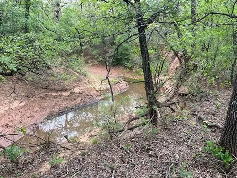 W. 23 Hoffman Road, Loving, TX 76460