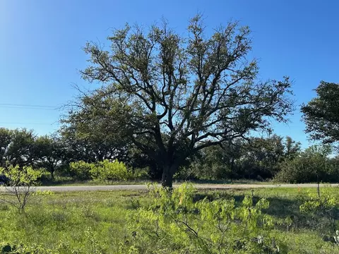 461 Feather Bay Blvd, Brownwood, TX 76801