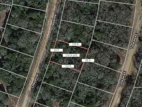 lot32 Cheyenne, Normangee, TX 77871