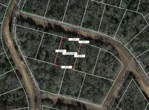 lot3 E Austin Colony, Normangee, TX 77871