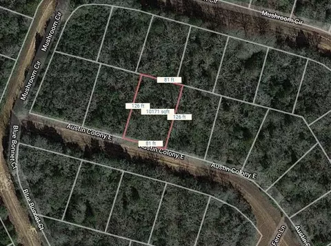 lot51 E Austin Colony, Normangee, TX 77871