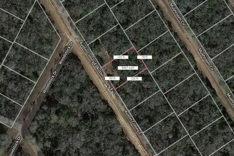 lot40 E Austin Colony, Normangee, TX 77871