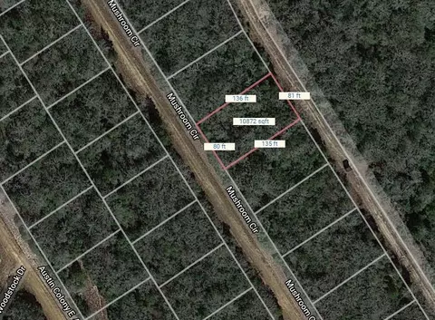 lot27 Mushroom Cir, Normangee, TX 77871