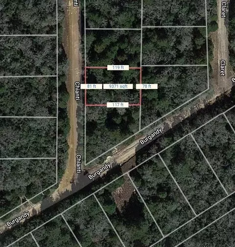 lot21 Chianti, Normangee, TX 77871