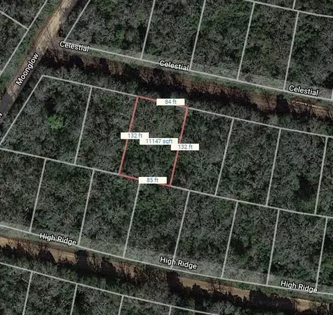 lot42 Celestial, Normangee, TX 77871
