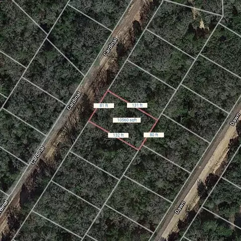 lot6 Cardinal, Normangee, TX 77871