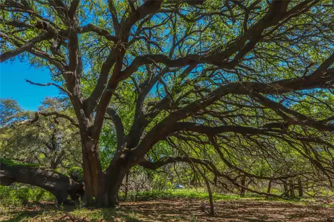 1952 Fm 1689, Comanche, TX 76442 photo 11
