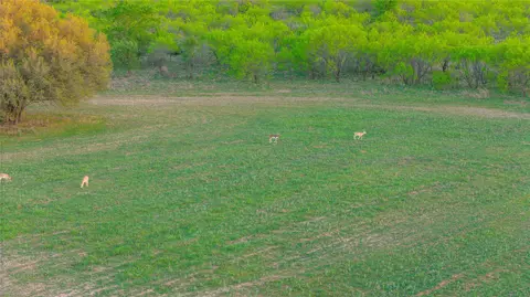 1952 Fm 1689, Comanche, TX 76442 photo 25