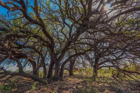 1952 Fm 1689, Comanche, TX 76442 photo 22