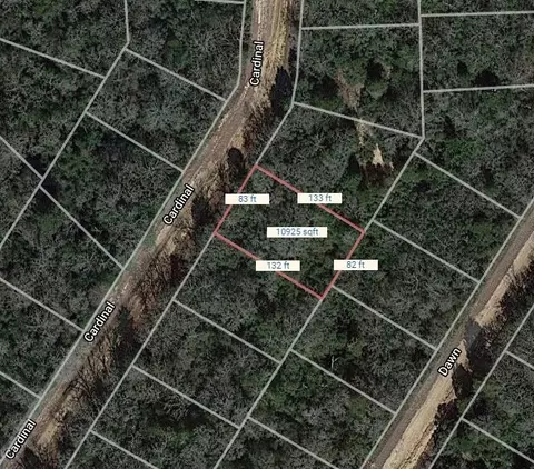 lot4 Cardinal, Normangee, TX 77871