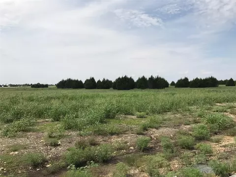 5220 Bravo Rd, Midlothian, TX 76065
