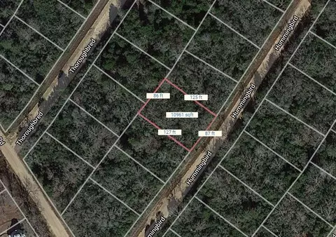 lot24 Hummingbird, Normangee, TX 77871