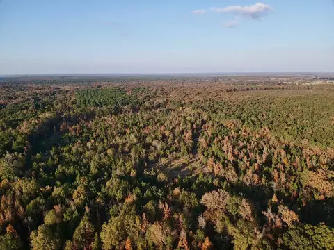 000 Farm To Market 114, Avery, TX 75554