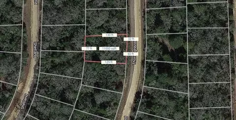 lot11 Thoroughbred, Normangee, TX 77871