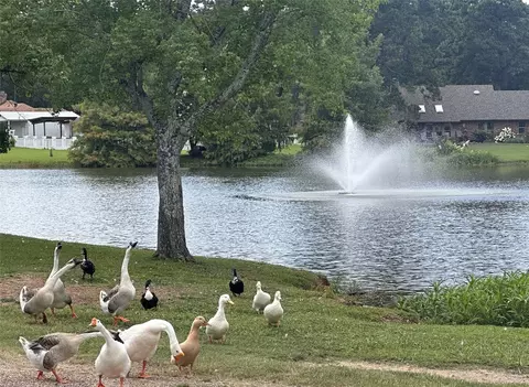 103 Maple Leaf Ln, Haughton, LA 71037 photo 36