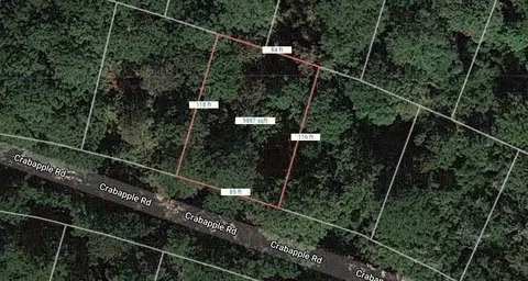 lot20 Crabapple Rd, Normangee, TX 77871