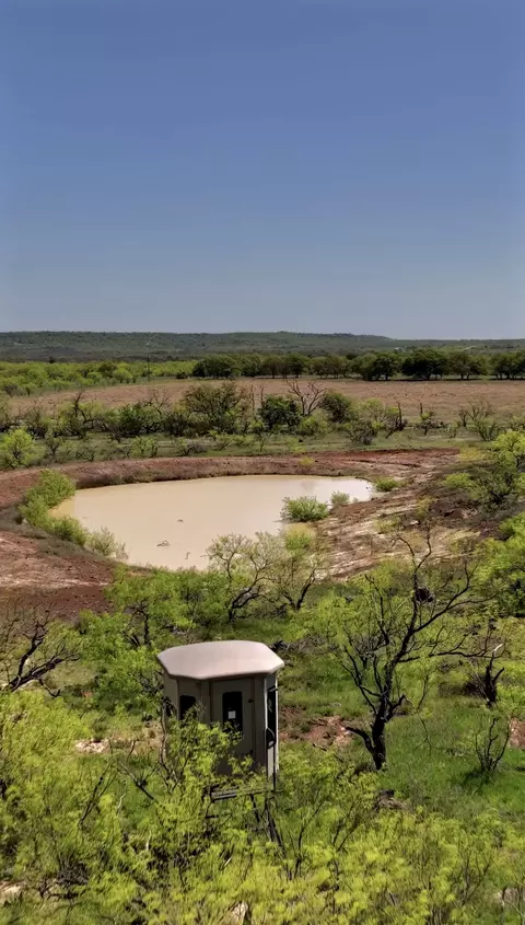 163 Campbell Ln, Jacksboro, TX 76458