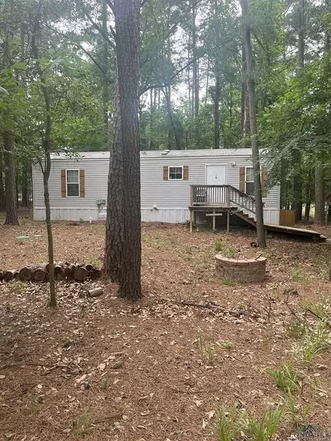 240 Sweetgum Ln, Mount Vernon, TX 75457