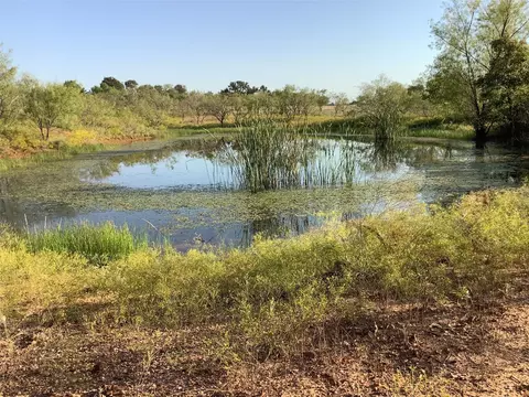 3402 Highway 569, Cisco, TX 76437