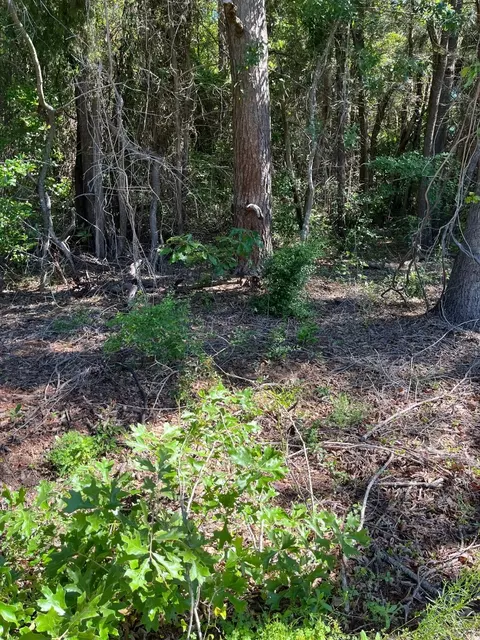 0000 Fm 1801, Mineola, TX 75773