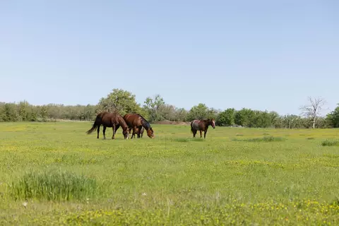 1346 Prairie Grove Rd # B, Valley View, TX 76272