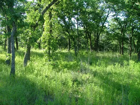 lot263 Ridgeline Dr, Chico, TX 76431